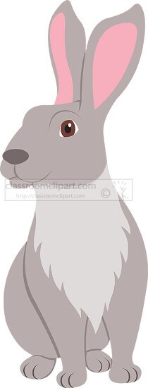long eared rabbit animal clipart 618