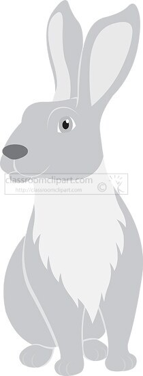 long eared rabbit animal gray color clipart