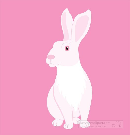 long eared rabbit animal pink background clipart