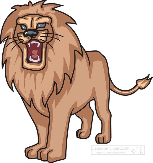 male lion shows teeth in anger clipart