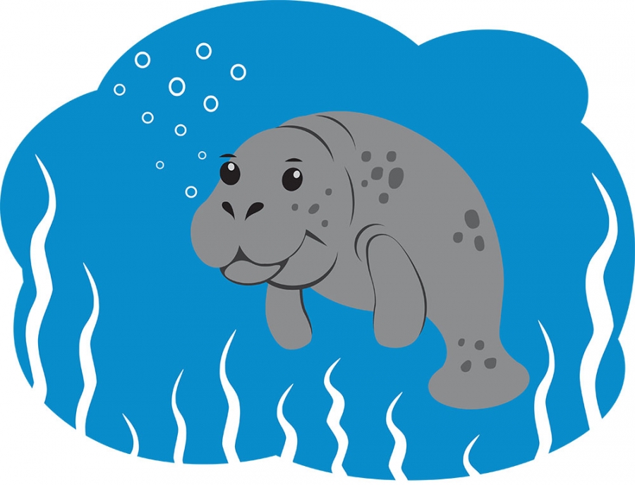 manatee swimming under water gray color clipart