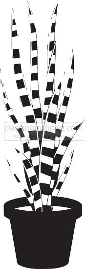 mother in laws tongue or snake plant black white clipart