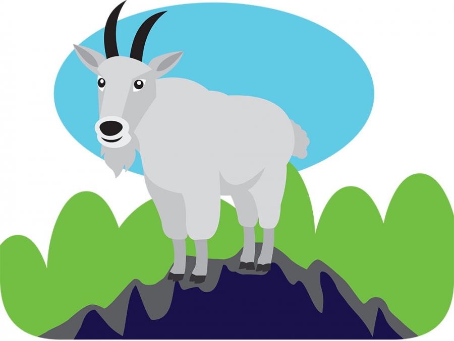 mountain goat standing on mountain top animal gray color clipart