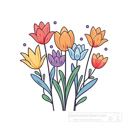 multicolored blooming tulip flowers