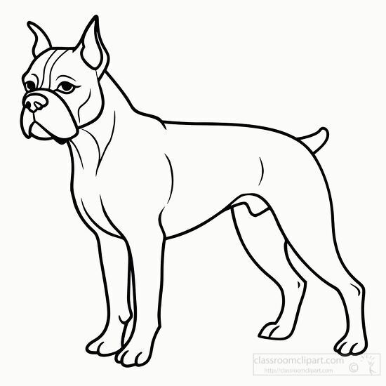 muscular boxer dog standing on all four legs black outline
