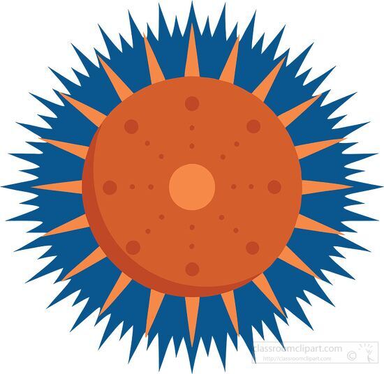 orange sea urchin with dark blue spikes