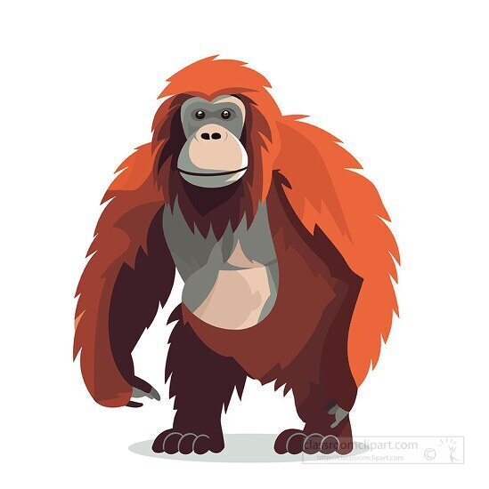orangutan with shaggy reddish brown fur