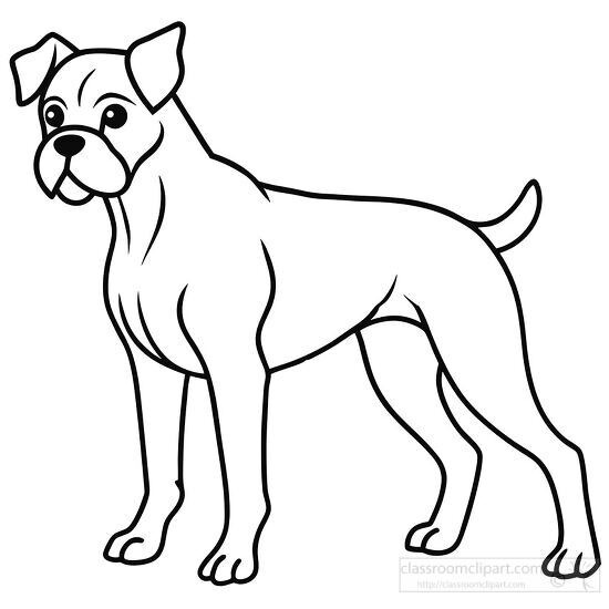 outline of a boxer dog standing shows his strong jaws