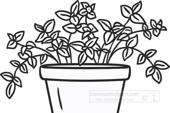 outline of a potted herb plant with several