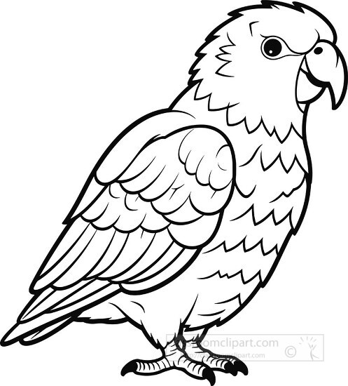 Download Parrot, Macaw, Line Drawing. Royalty-Free Stock Illustration Image  - Pixabay