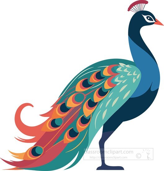 peacock vibrant iridescent plumage clip art