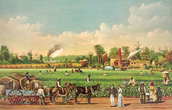 a cotton plantation on the mississippi