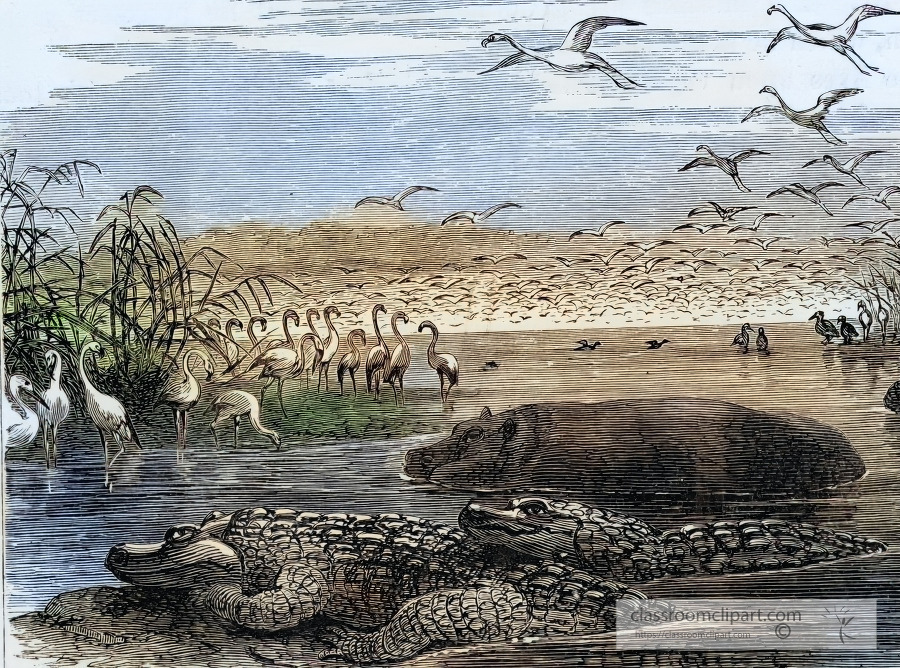 an african river scene with alligators and hippos illustration h