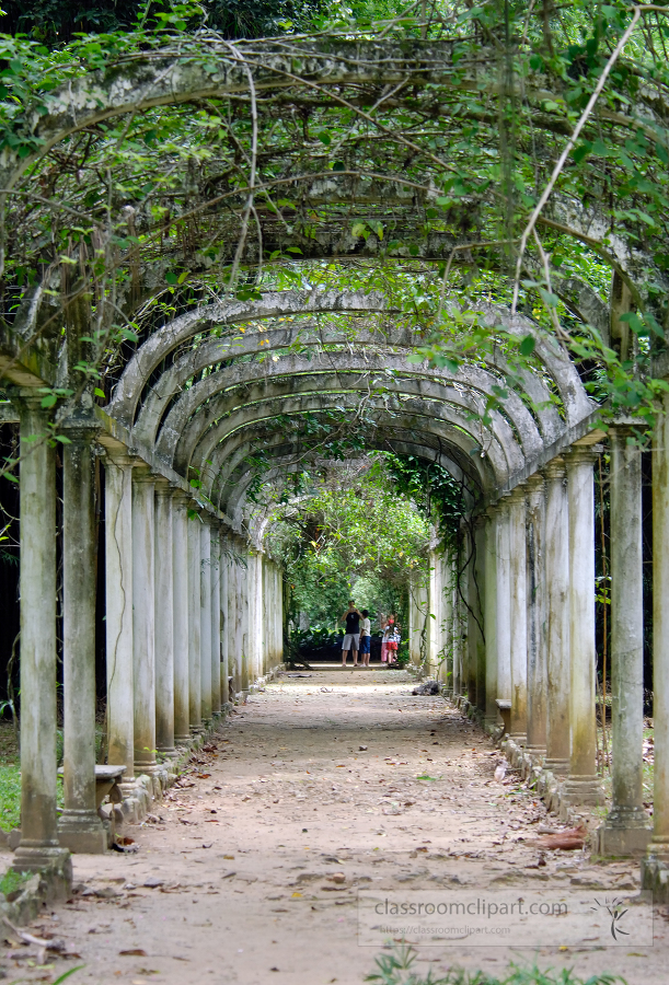 brazil botanical garden 02A