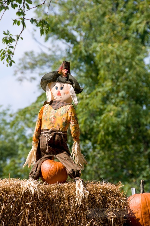 carecrow sitting on top of a hay bale