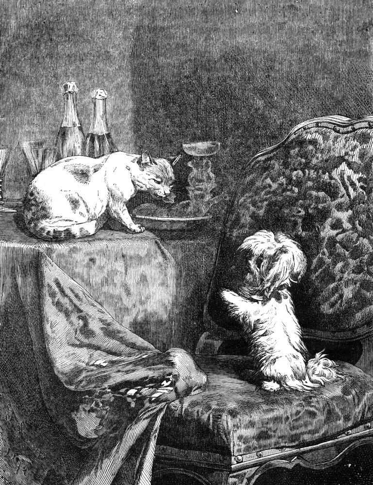cat dog historical illustration