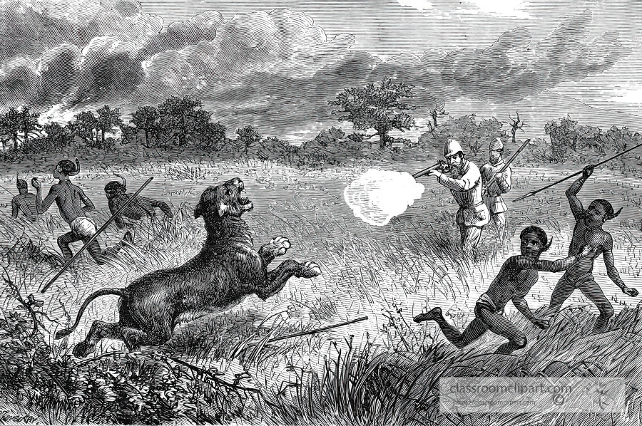 charge of a lioness historical illustration africa