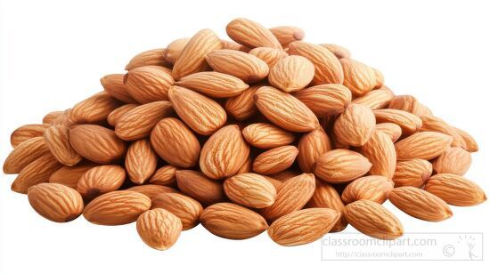 close up of smooth textured almonds grouped together