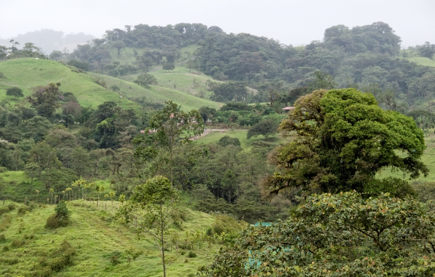 Cloud Forest Canopy Costa Rica