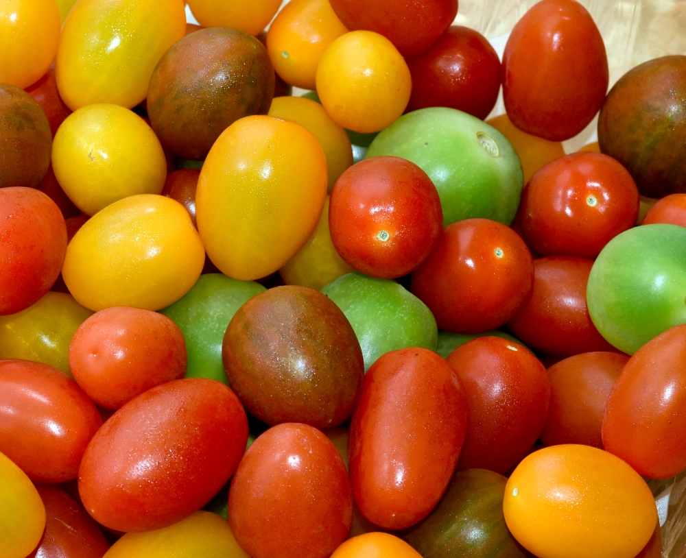 colorful red green orange yellow heirloom cherry tomato pic  3