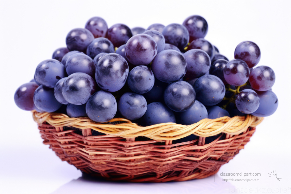 dark purple grapes in a basket