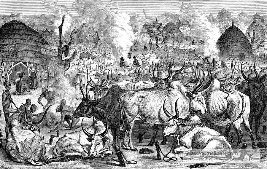 dinka tribe cattle yard historical illustration africa