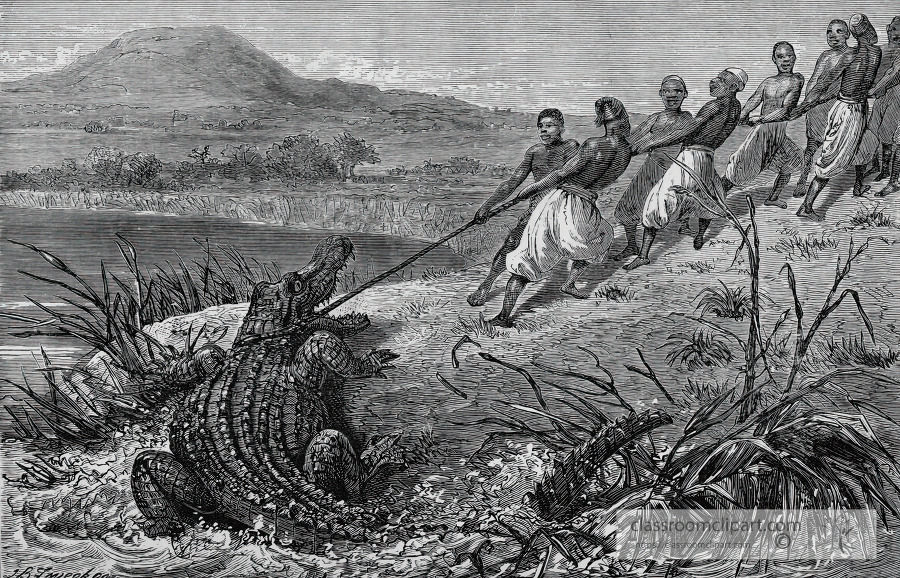dragging a crocodile to land llustration historical illustration