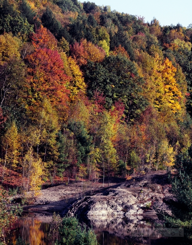 Fall scene in Vermont