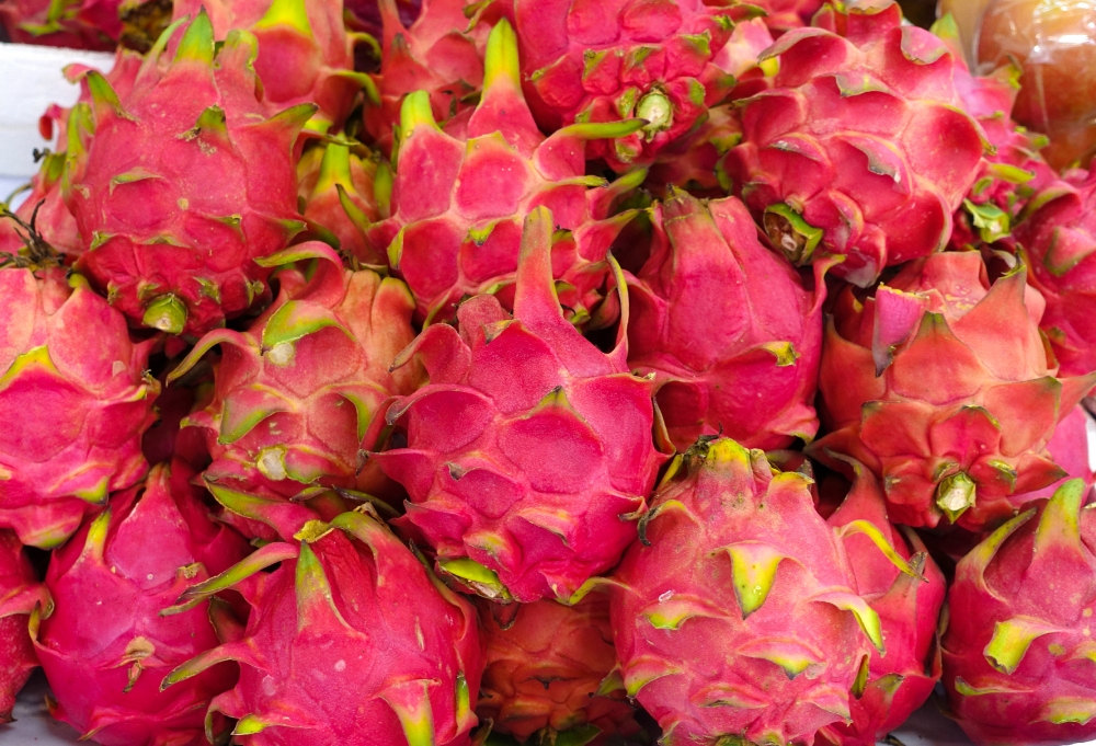 fresh dragon fruit for sale at market