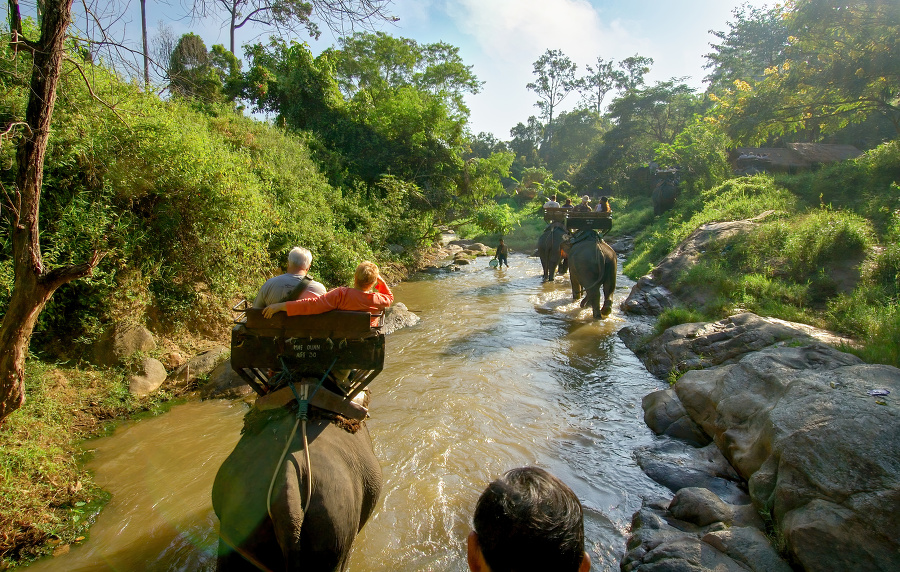 group of people ridingelephants crossing a river in the jungle