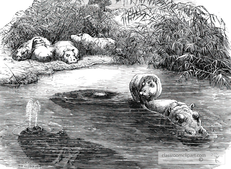home of the hippopotamus in africa historical illustration