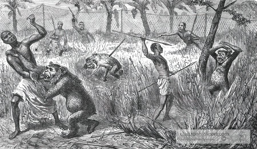 hunters killing gorillas in africa historical illustration afric