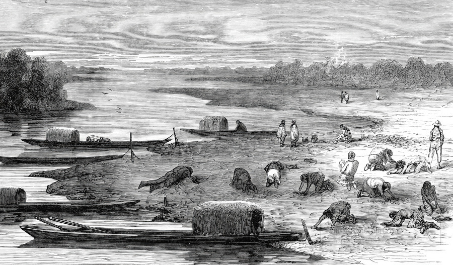 Indians Hunting Turtles