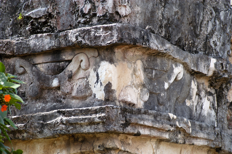 Mayan Ruins of Tulum 4945