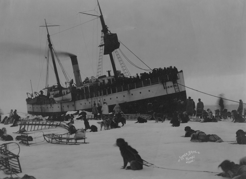 Passenger and freight teams meeting ship in Nome