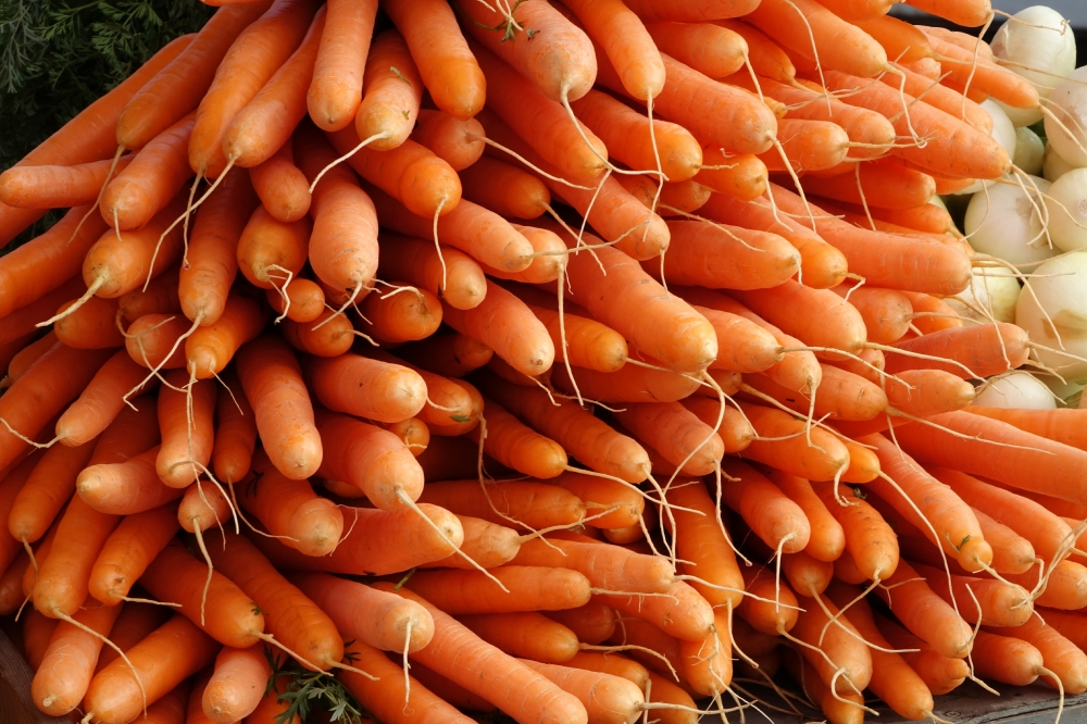 photo stacked bunches carrots