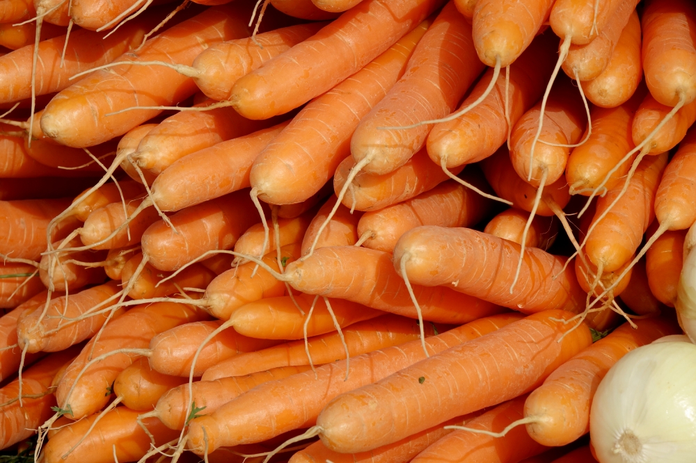 picture closeup carrots freshly picked vegetable