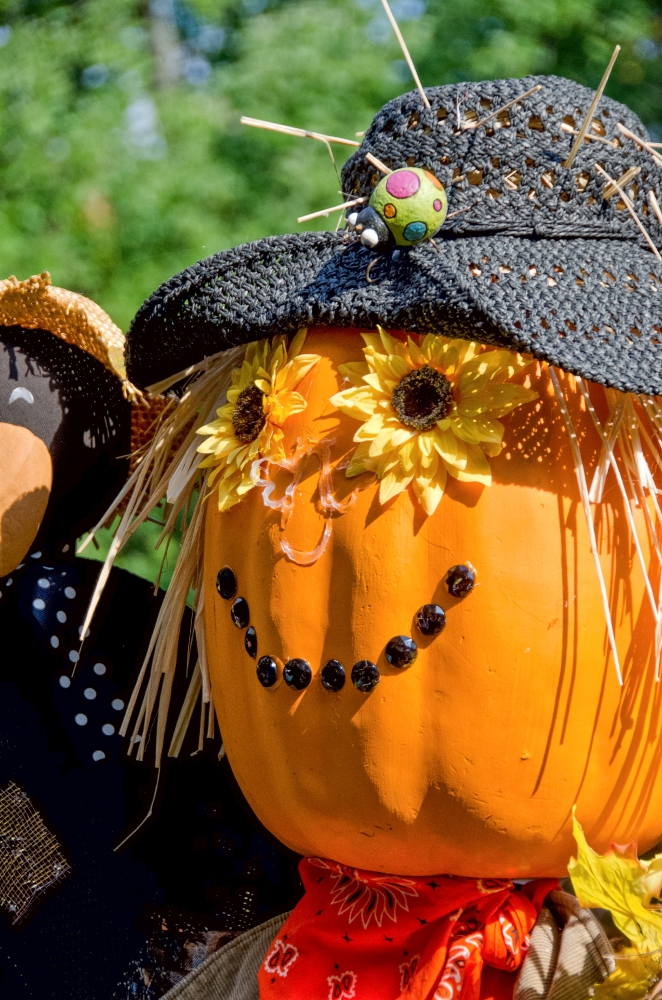 Pumpkin Scarecrow