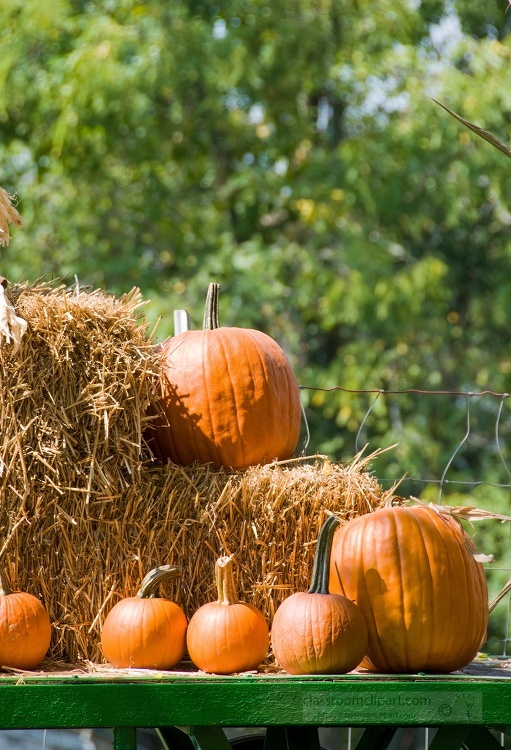 pumpkins on a hay bale