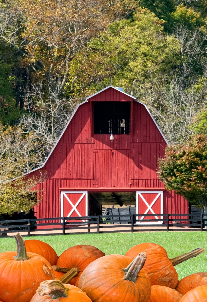 red barn Fall 10 09 34