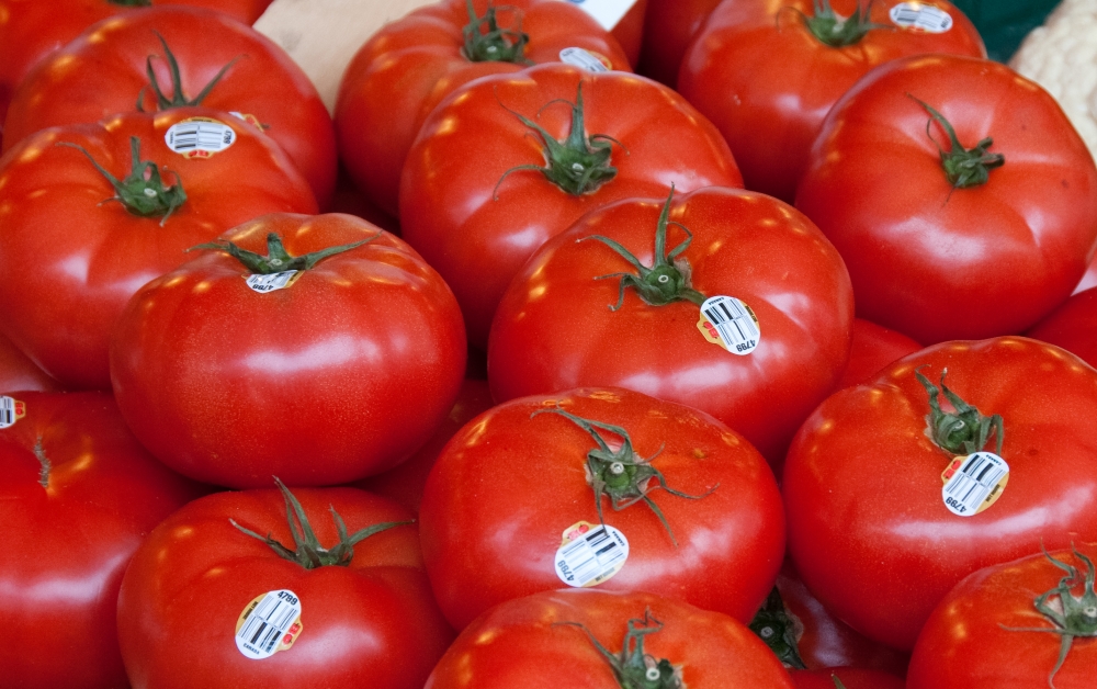 ripe tomato istacked for sale photo image 604