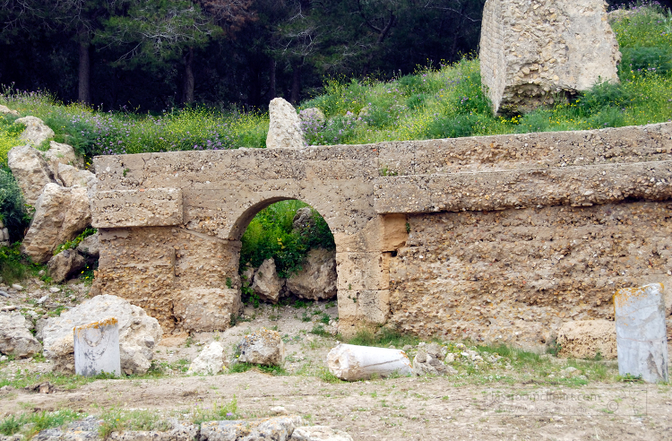 Ruins of Carthage