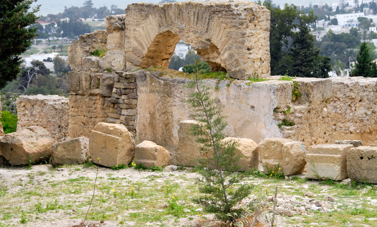 Ruins of Carthage