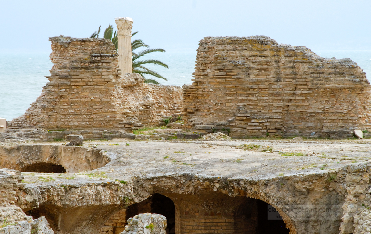 Ruins of Carthage