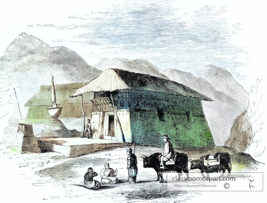 saddle oxen in himalayas historical illustration