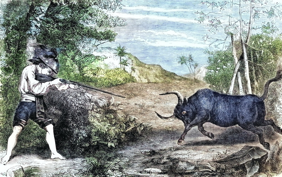 Shooting a Buffalo