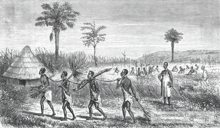 slaves carrying fuel and cutting rice historical illustration af