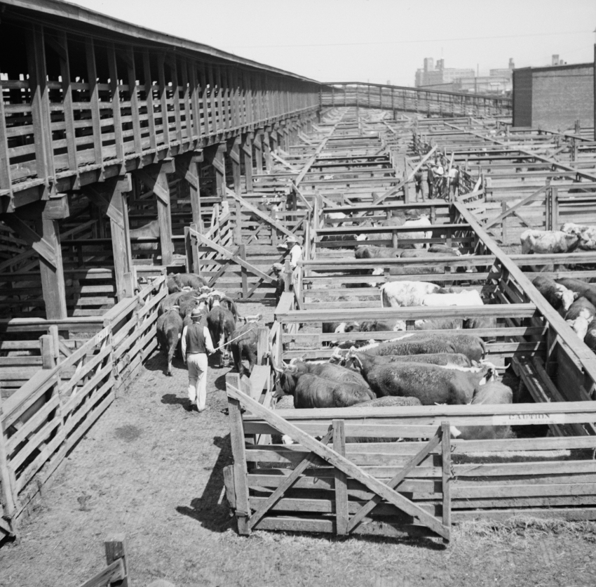 Stockyards Kansas City Kansas 1936