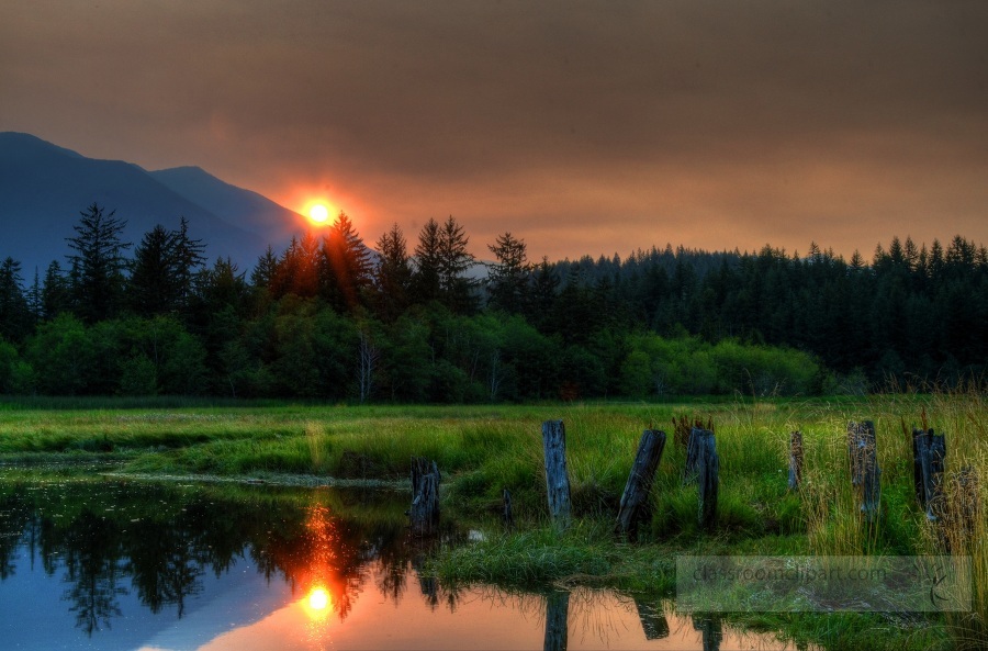 Sunset in Quilcene Olympic National Forest Washington
