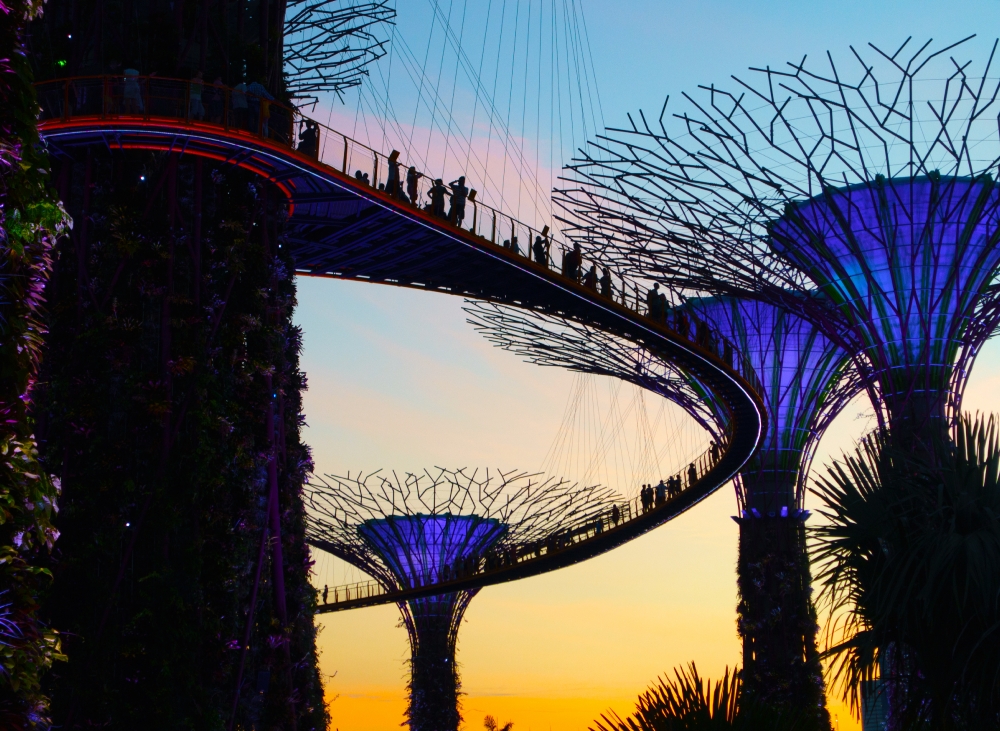 Supergroove trees at the light show of Gardens by the Bay Singap